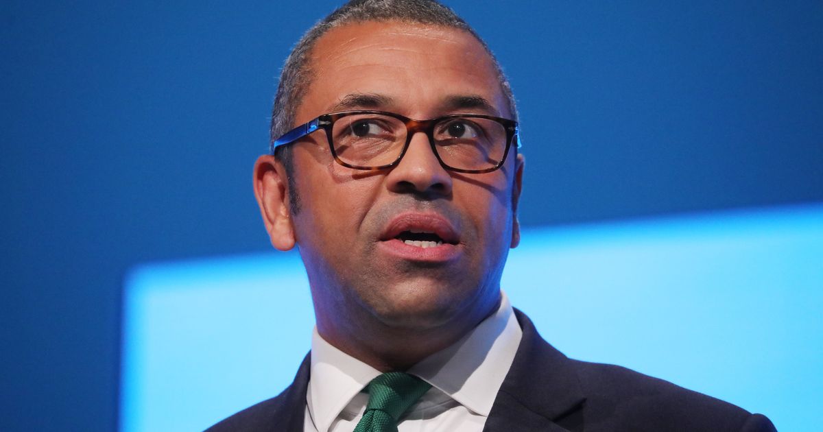 Tory Chairman James Cleverly Promises Party Will Deliver January 31 ...