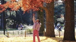 El puente dejará un ambiente puramente otoñal con lluvias y descenso