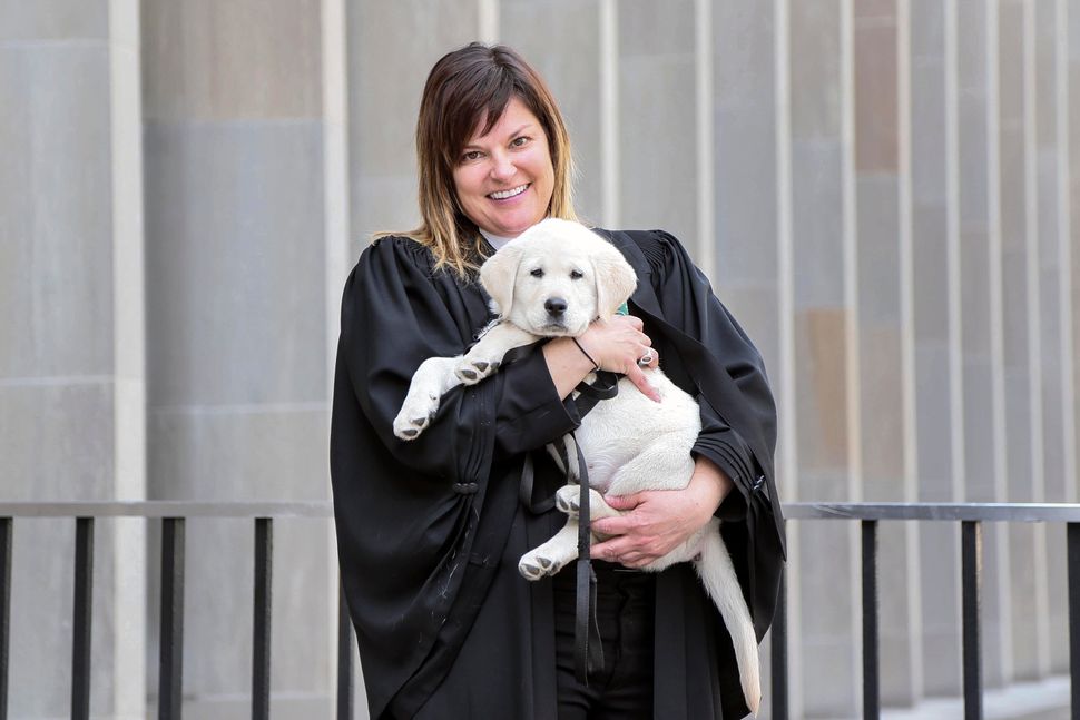 Crown attorney Cara Sweeny, pictured here May 9, 2018 with a future service dog, supported Liss's quest for restorative justice this past fall.