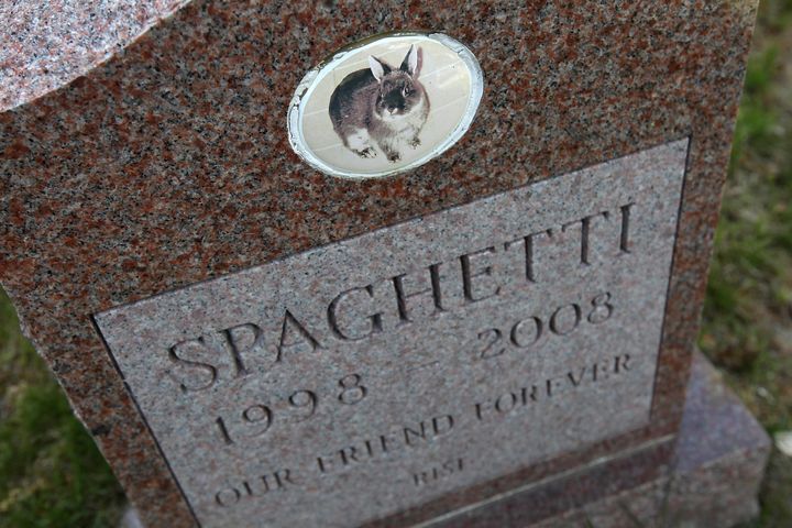 A gravestone marks Spaghetti's final resting place.