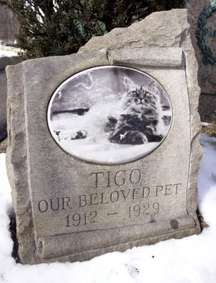 This Is What It S Like To Run A Pet Cemetery As Your Family Business Huffpost Life