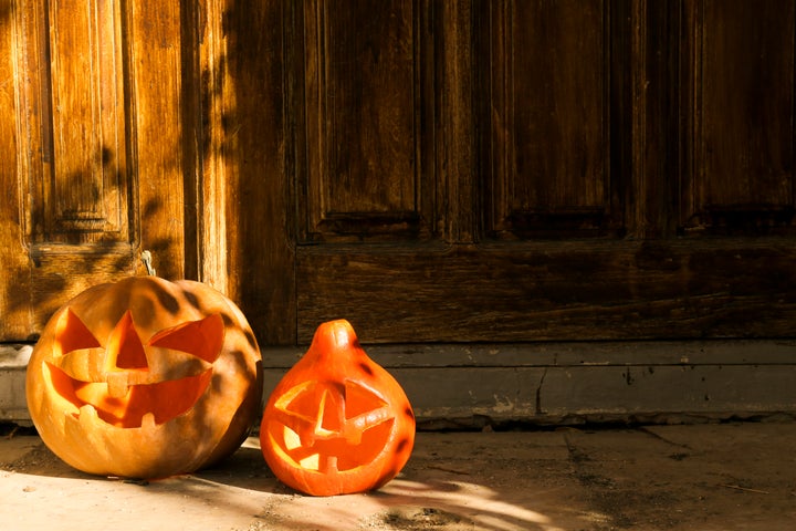 Great jack-o'-lanterns! Terrible pie pumpkins.