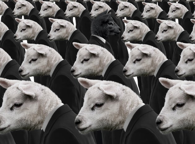 The black sheep / individuality
