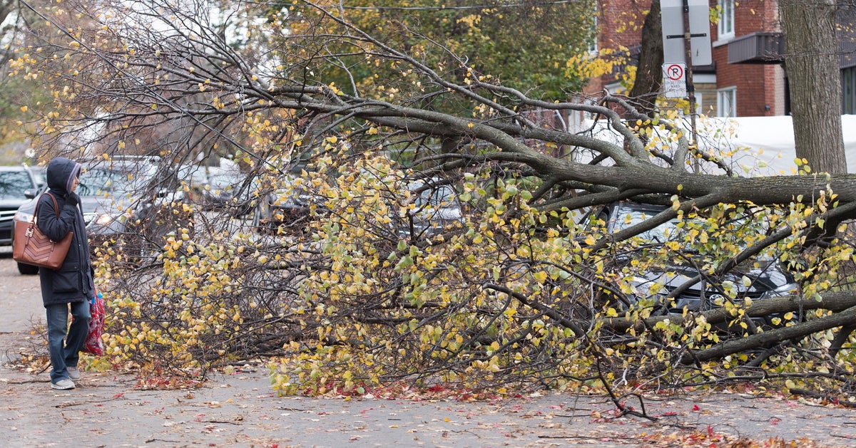 Hydro Quebec Le Retablissement Du Courant Pourrait Prendre Plus De 24 Heures Huffpost Quebec