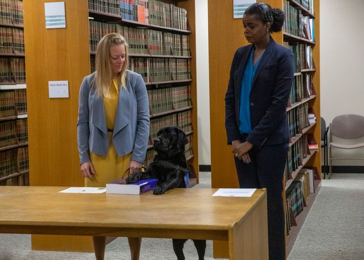 Hatty's primary handler and victim witness specialist Stephanie Coehlo, left, holds the black lab as Hatty is sworn in by Coo