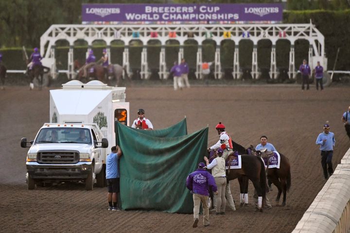 Track workers treat Mongolian Groom after the Breeders' Cup Classic horse race at Santa Anita Park, Saturday, Nov. 2, 2019, in Arcadia, Calif. The jockey eased him up near the eighth pole in the stretch. 