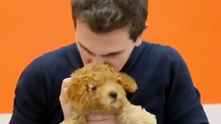 Cachondeo con el vídeo de campaña de Albert Rivera con este