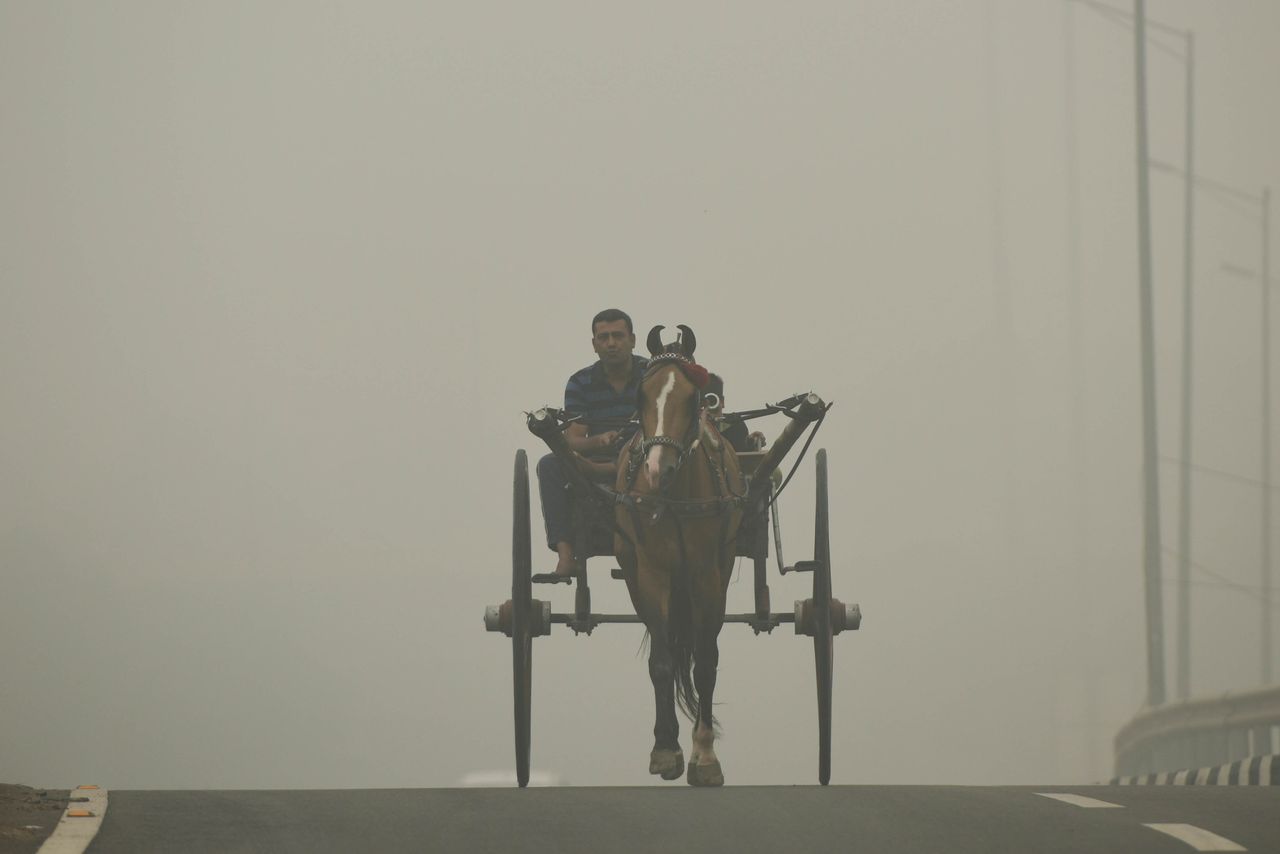 A man rides a horse cart amid dense haze, smoke and low visibility, at Sarai Kale Khan