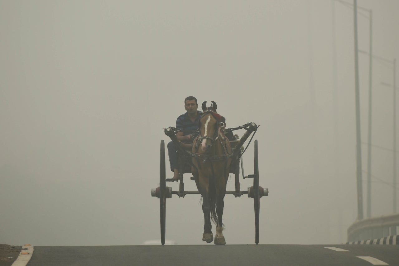 <strong>A man rides a horse cart amid dense haze, smoke and low visibility, at Sarai Kale Khan</strong>