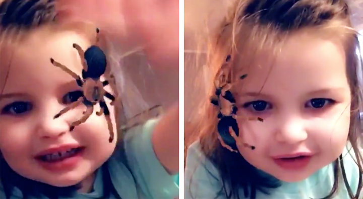 Is The Spider On Face Snapchat Filter Harmless Or Traumatic We