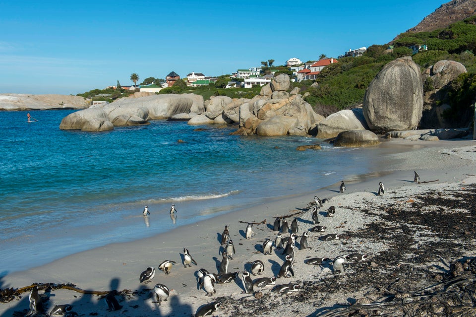 15 Reasons Cape Town Should Be No 1 On Your Travel Agenda Huffpost Life 2837