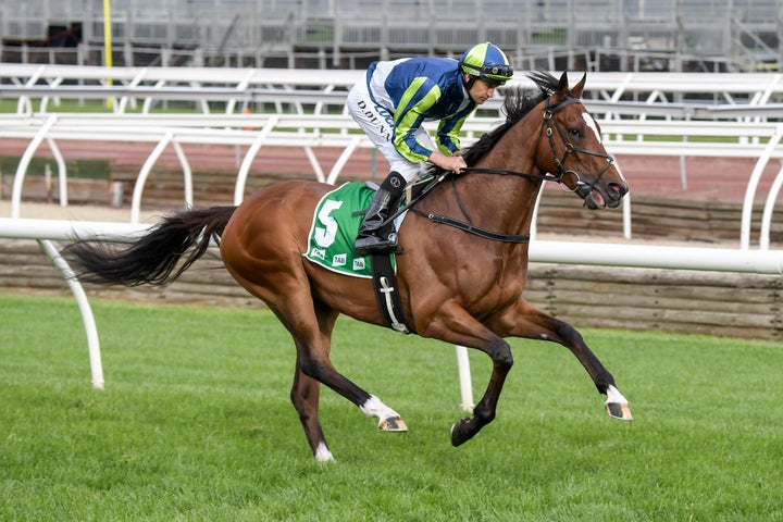 Rostropovich and jockey Dwayne Dunn pictured here on October 5, a month ahead of the 2019 Melbourne Cup.