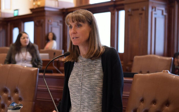 Illinois state Sen. Laura Fine, who was a member of the American Federation of Teachers, has made taking on the insurance industry a top priority.