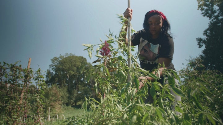Formerly incarcerated teenagers and young adults are paid $15 an hour for their help on urban farms in Atlanta, Georgia, through Abiodun Henderson's "Gangstas to Growers" program.