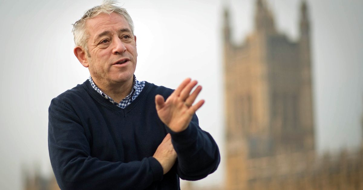 John Bercow. Джон Беркоу order. Йон комон политик. John Mills Labour Party.