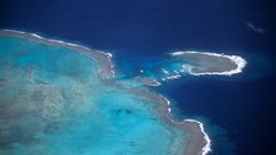 Une éruption volcanique aux Tonga fait naître une nouvelle île baptisée