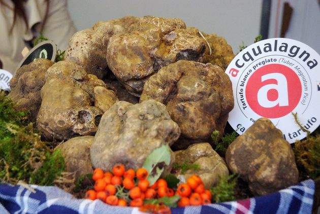 Acqualagna In Festa Per Il Tartufo Da Record L Autunno Pregiato