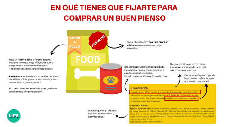 Cómo saber si un pienso es bueno.