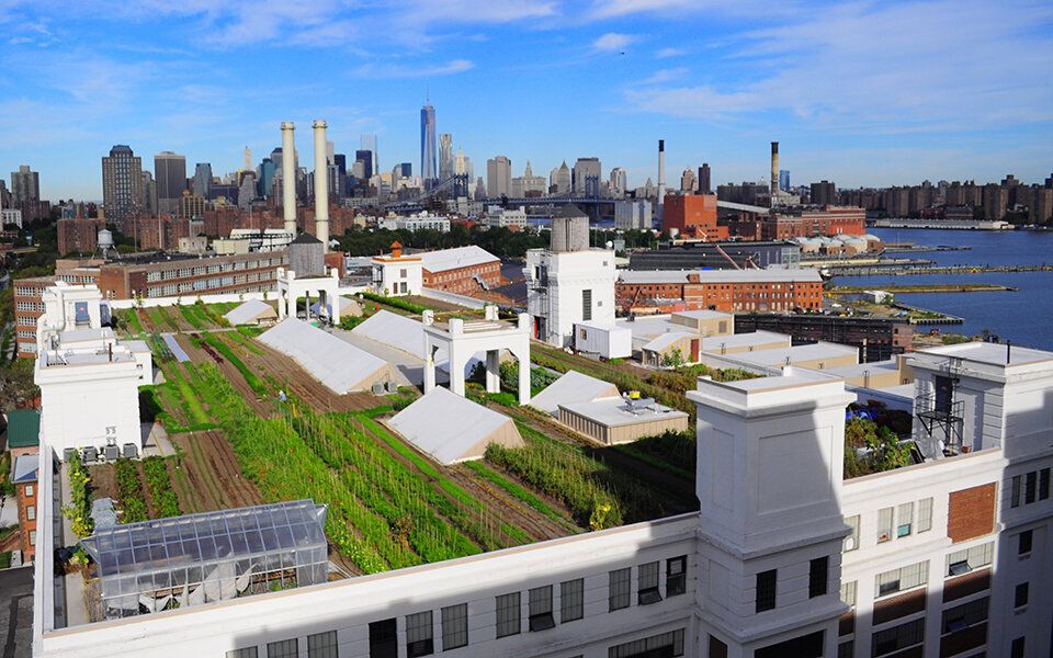 An overhead view of Brooklyn Grange's rooftop farm at the Navy Yard in Brooklyn.