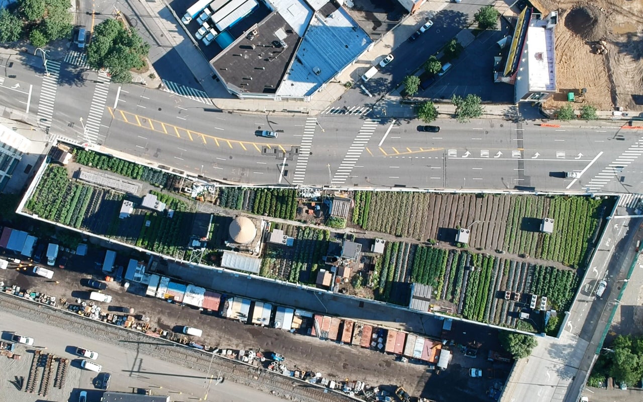 An bird's-eye view of Brooklyn Grange's rooftop farm in Long Island City, Queens.