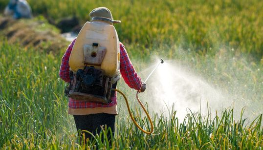 La justice valide deux arrêtés anti-pesticides au nom du “danger grave” pour la