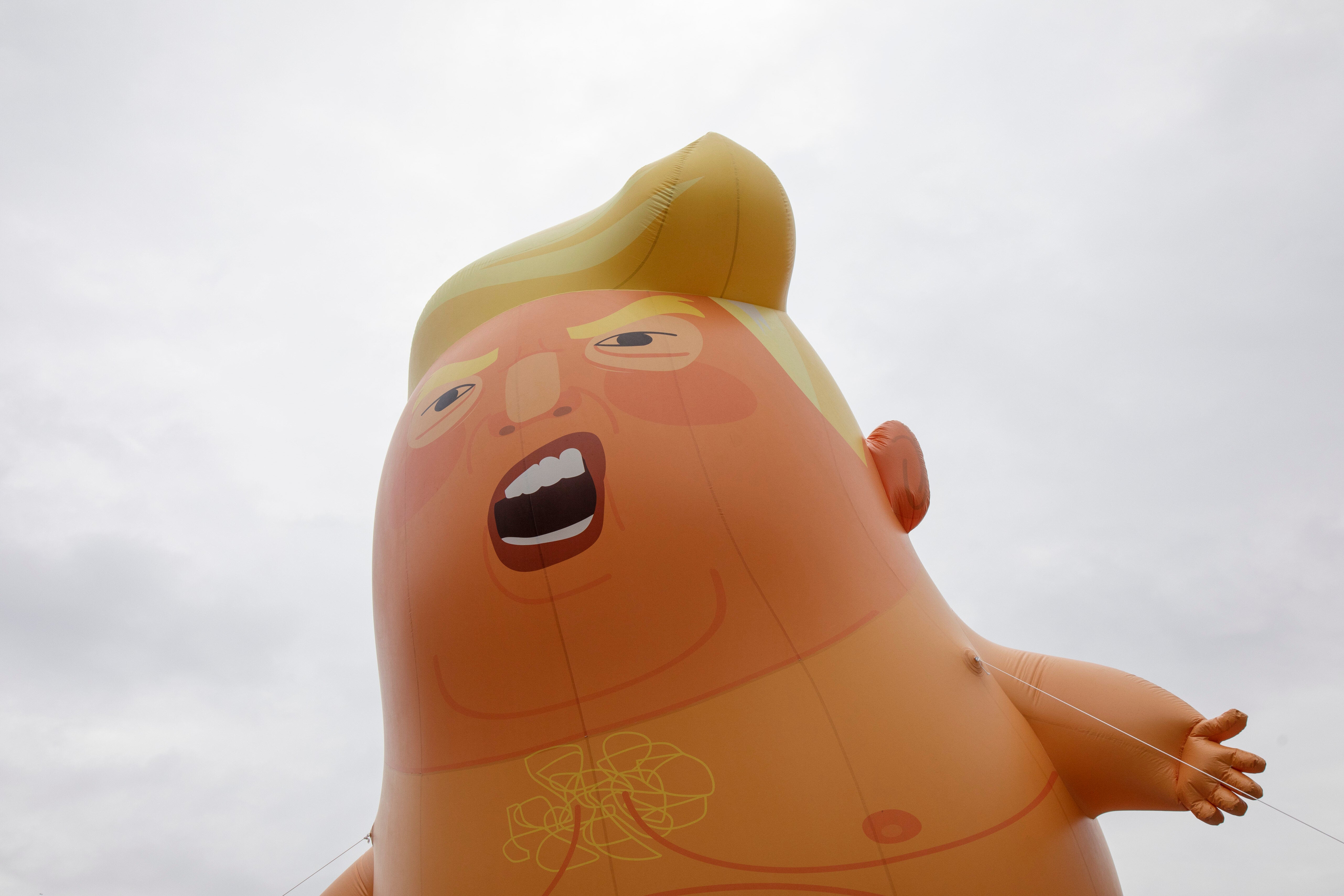 trump baby doll