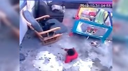 Un gato salva a un bebé de caer por las