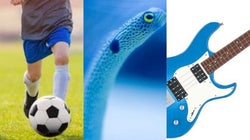 ポッキー&プリッツだけじゃない。11月11日は「記念日」が多すぎる。