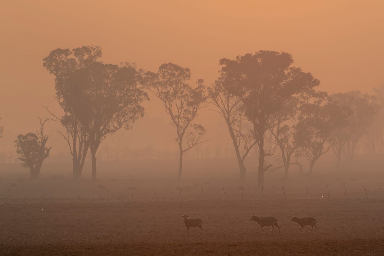 Smoke from the Gulf Road fire in Torrington fills the early morning sky. Three people have died and 200 homes have been lost after bushfires burned through New South Wales and Queensland.