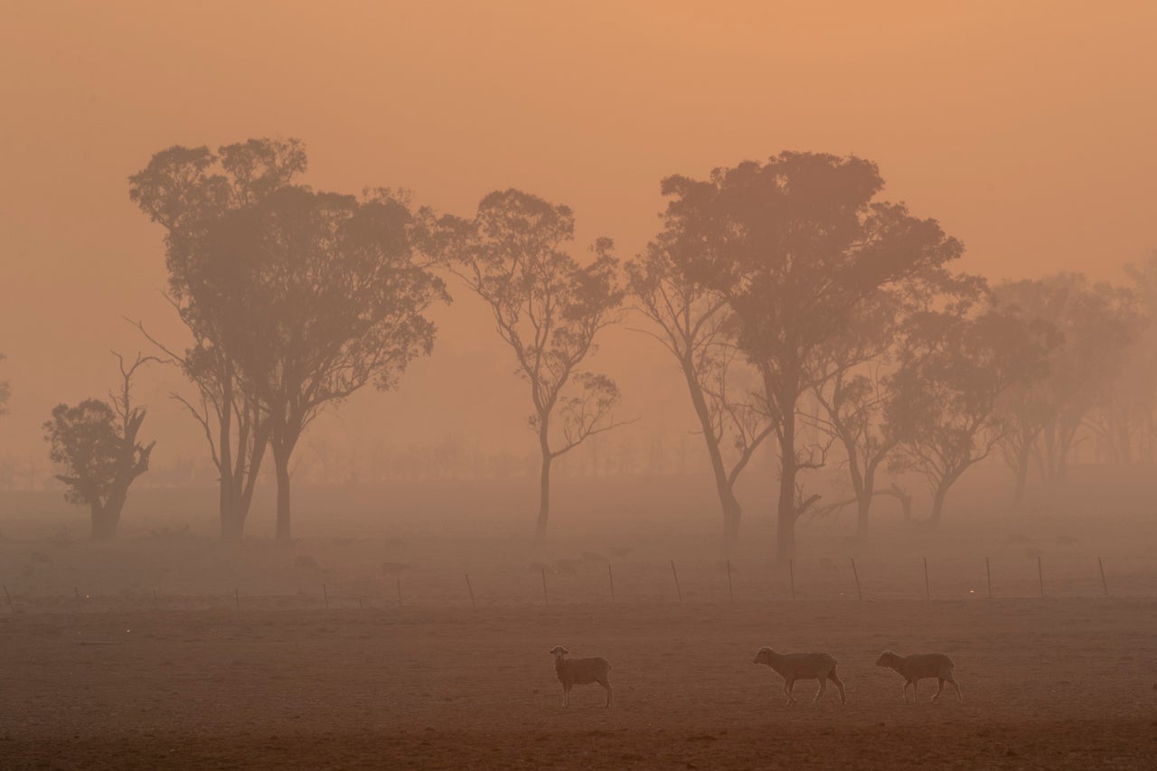 <strong>Smoke from the Gulf Road fire in Torrington fills the early morning sky. Three people have died and 200 homes have been lost after bushfires burned through New South Wales and Queensland.</strong>