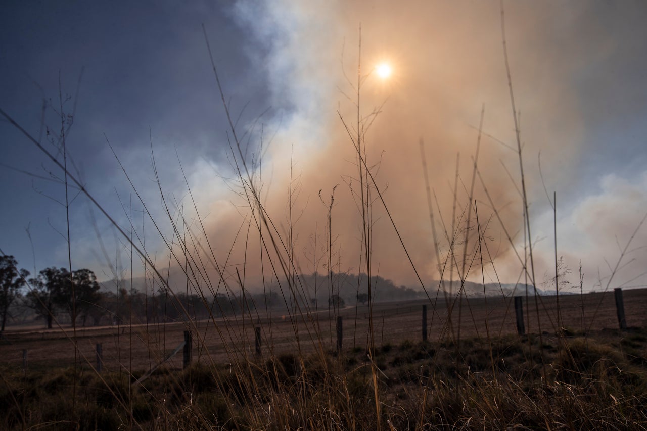 Australia is used to bushfires, but this years' flames have come worryingly early. 