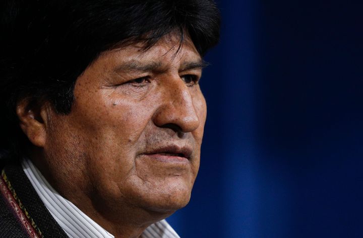 Bolivian President Evo Morales called for new elections in Bolivia following the release of a preliminary report by the Organization of American States that found irregularities in the country's Oct. 20 vote. 