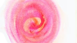 Juzgando con perspectiva de género el complemento de