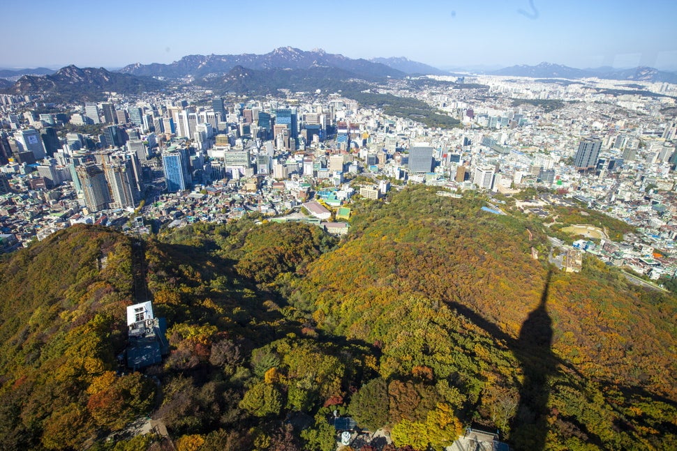남산둘레길