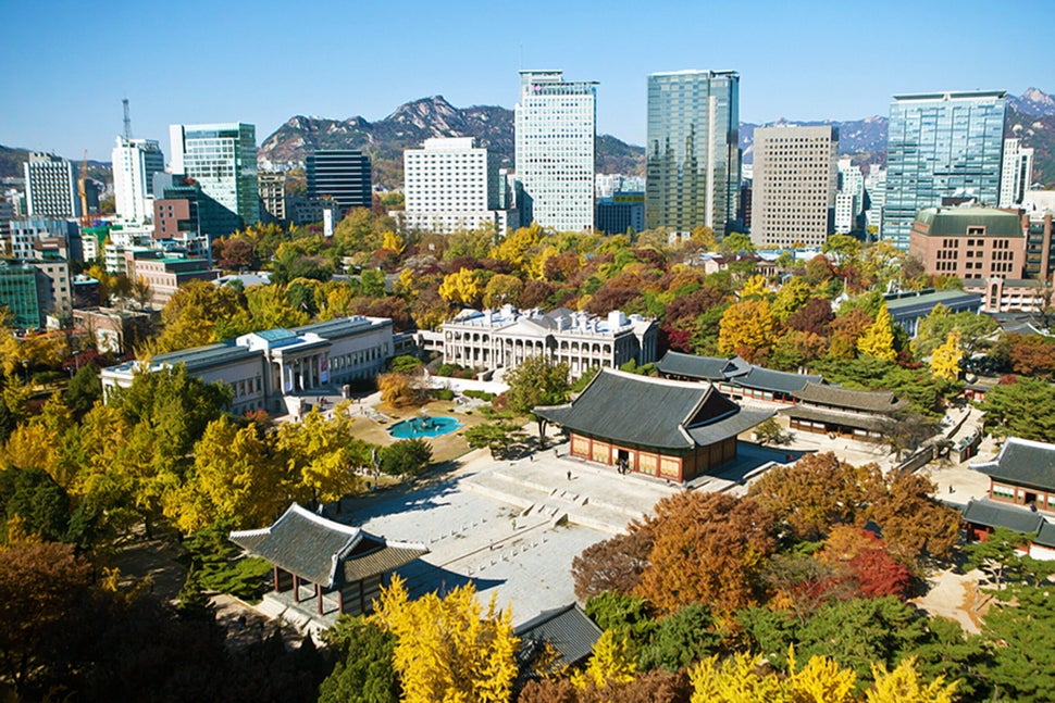 정동전망대에서 바라본 창덕궁 후원