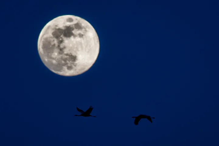 Night skies are getting clearer as rising energy costs keep light pollution  down, charity says