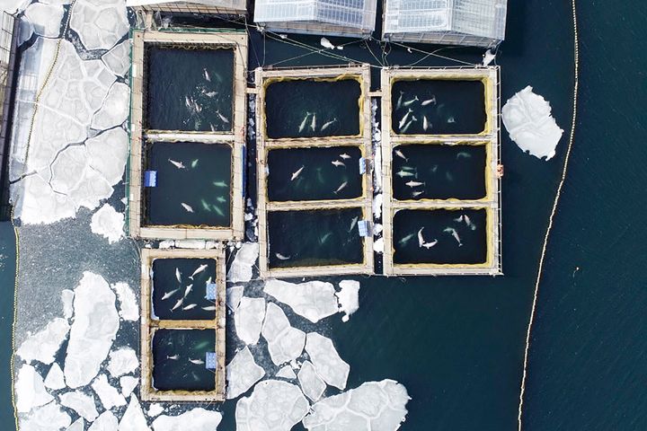 An aerial view of the enclosures that became widely known as "whale jail."