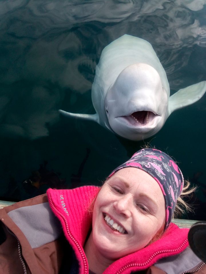 Linn Saether poses with Hvaldimir days after a fisherman removed a harness with a camera mount from the beluga whale, in Tufjord, Norway.