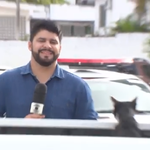 ニュース中継の現場に乱入した野良猫、リポーターにすりすり。笑いすぎて放送できない姿に癒される