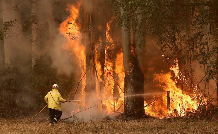 A Tuncurry fire crew member fights part of the Hillville bushfire south of Taree, in the Mid North Coast region of NSW.