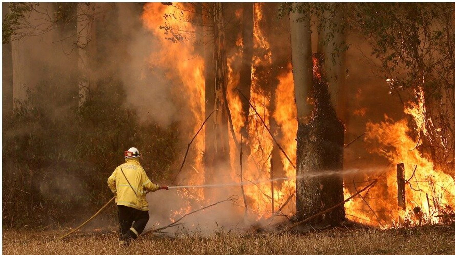 Ill be fire. Австралийская модель пожар. Australia Bushfires. Bushfires in Australia. Так пожар пожирает траву.