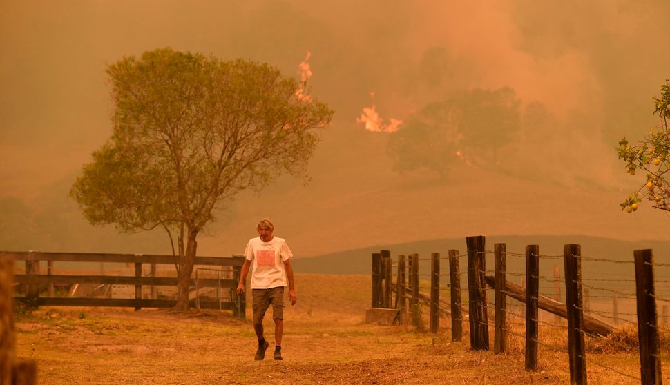A man walks on a farm as flames approach near the town of Taree, 215 miles north of Sydney, on 14 November.