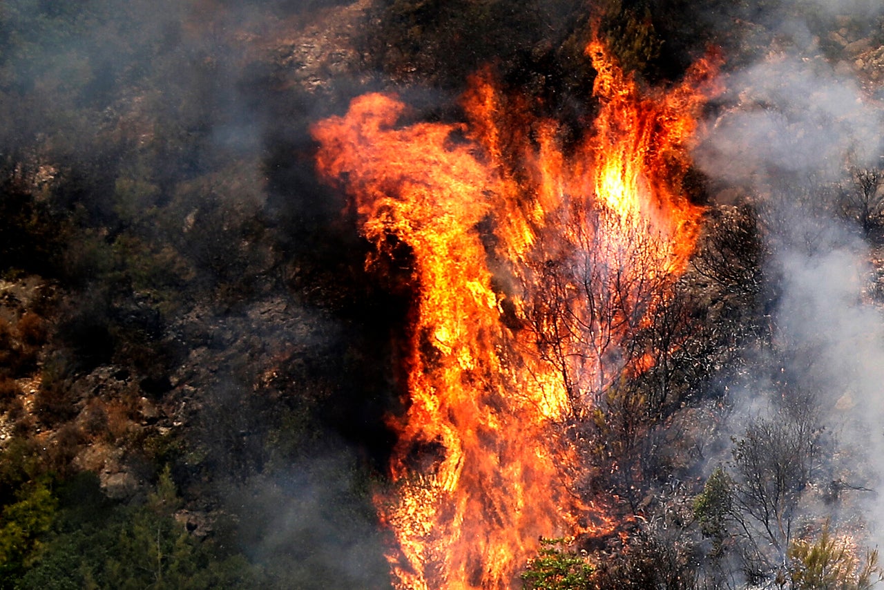 Fire takes out forests in the mountainous area that flanks the Damour river near the village of Meshref in Lebanon's Shouf mountains, southeast of the capital Beirut, on Oct. 15. The outbreak coincided with high temperatures and strong winds.