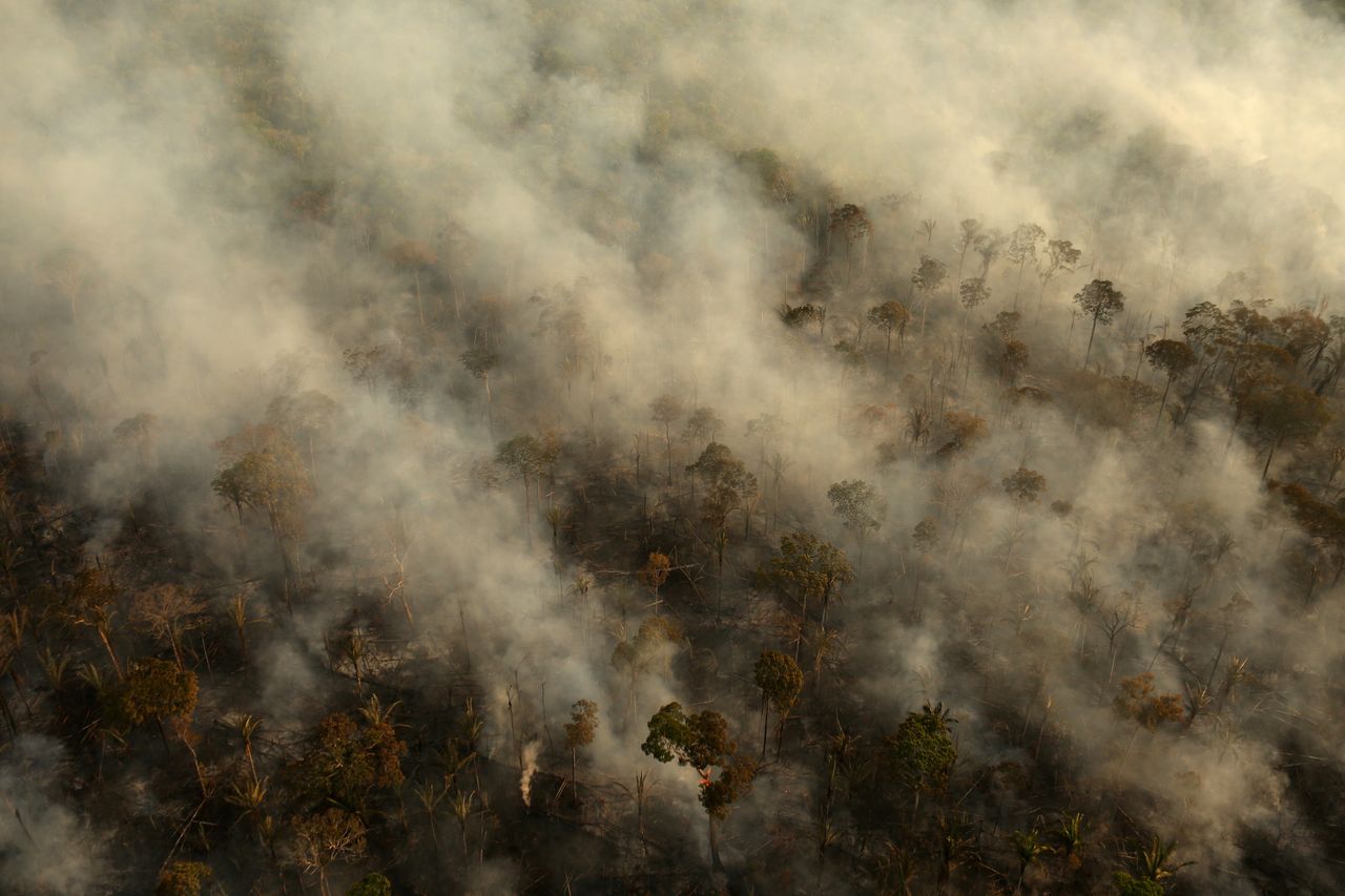 Smoke billows during a fire in an area of the Amazon rainforest near Porto Velho, Rondonia State, Brazil, on 10 September.