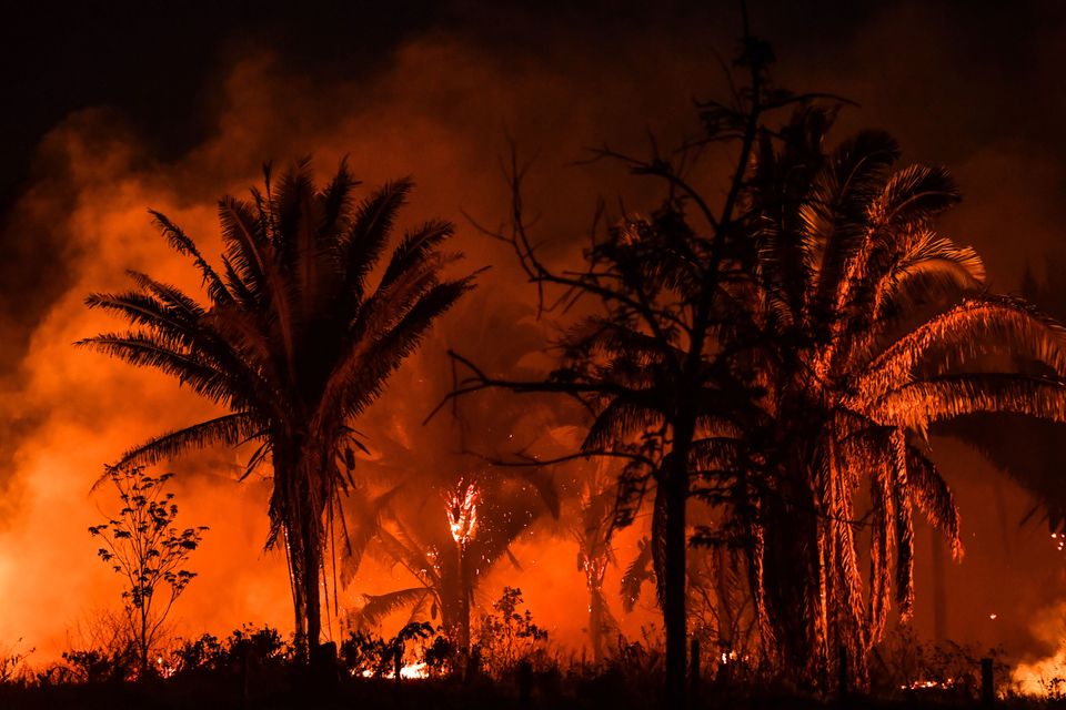 View of fire from the BR163 highway, near Itaituba, Para state, Brazil, in the Amazon rainforest, on 10 September. The BR230 and BR163 are major transport routes in Brazil that have played a key role in the development and destruction of the world's largest rainforest, now being ravaged by fires.