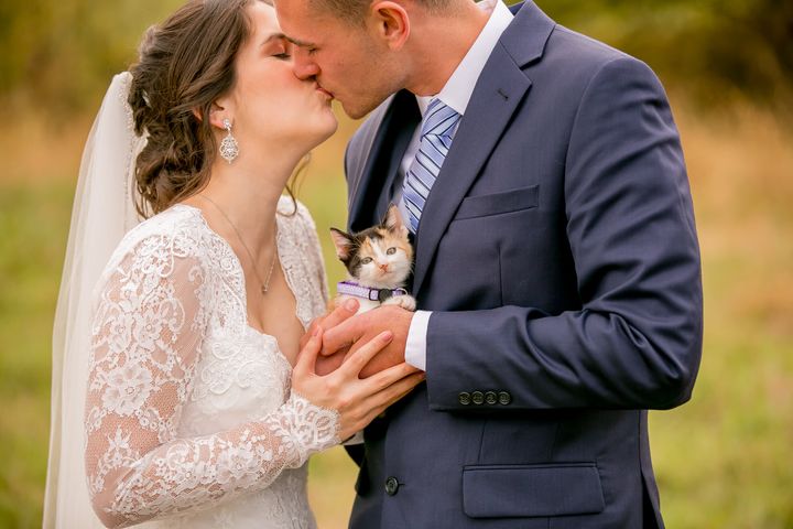 Chloe the calico was the best wedding surprise. 