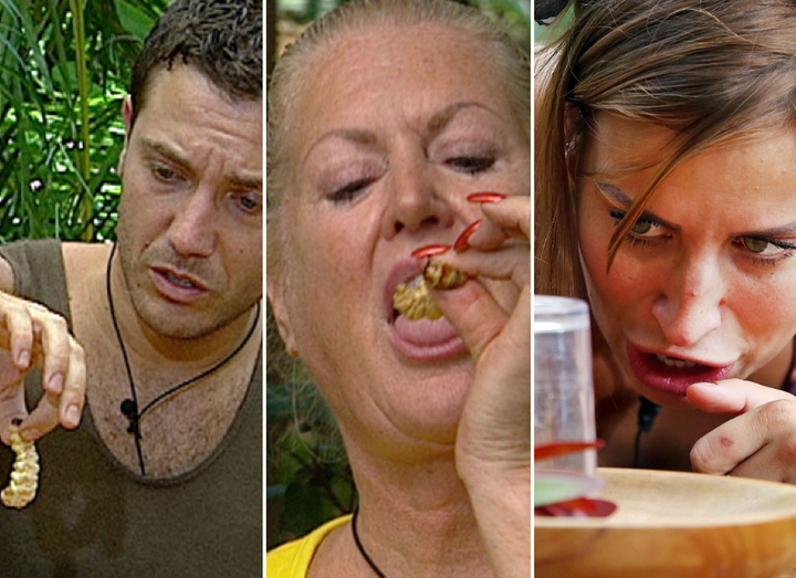 Former campmates Gino D'Acampo, Kim Woodburn and Ferne McCann