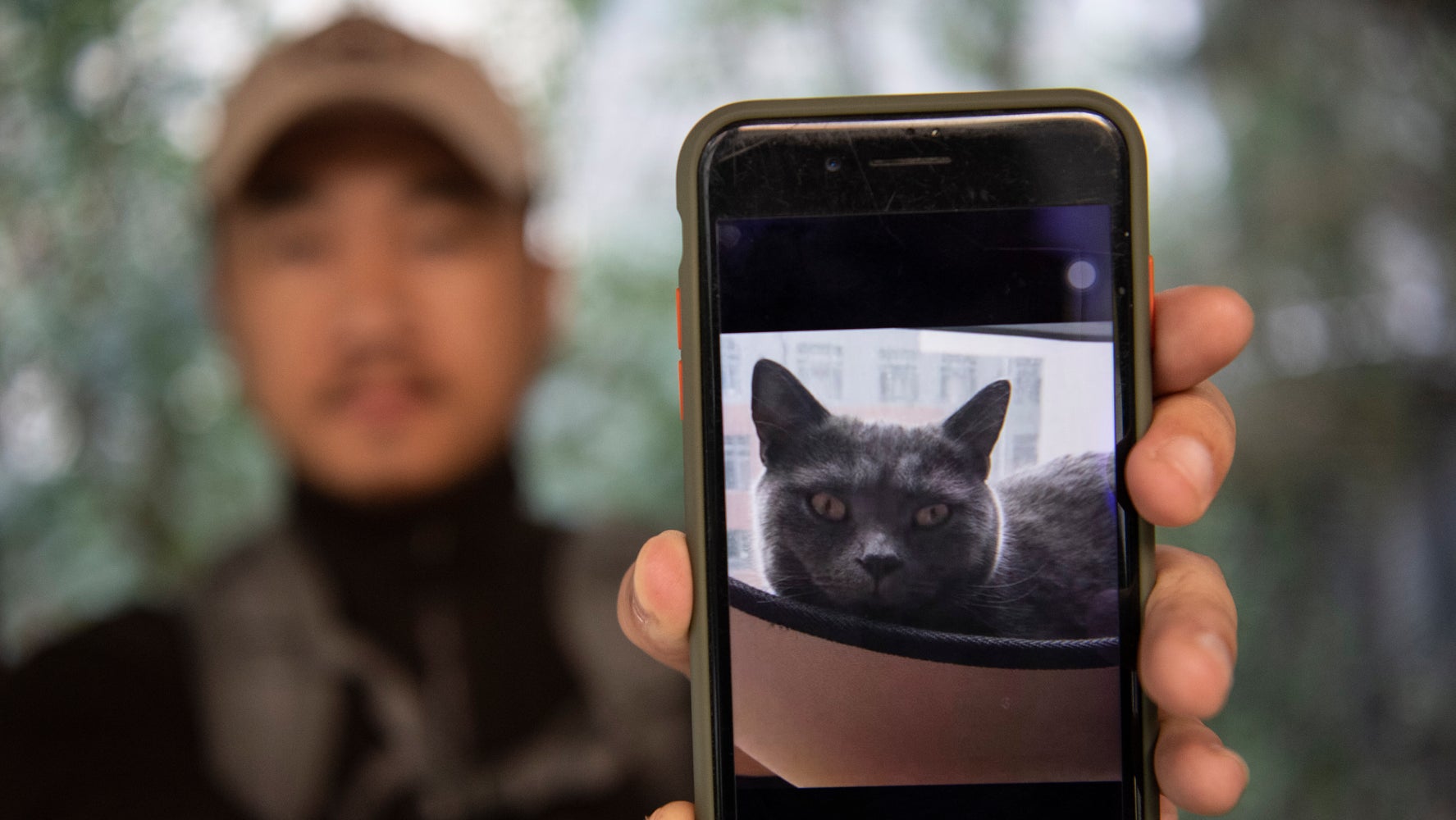 Ce Detective Chinois Est Le Sherlock Holmes Des Chats Perdus Le Huffington Post Ca Marche Ce Detective Chinois Est Le Sherlock Holmes Des Chats Perdus Le Huffington Post Ca Marche