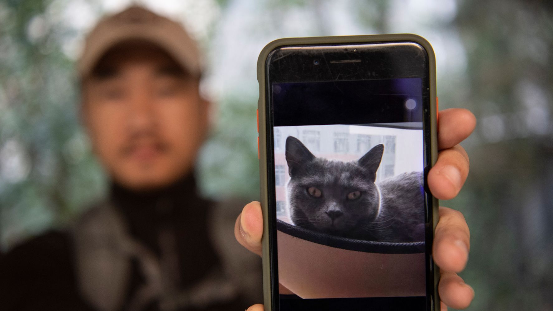 Ce Detective Chinois Est Le Sherlock Holmes Des Chats Perdus Le Huffington Post Ca Marche