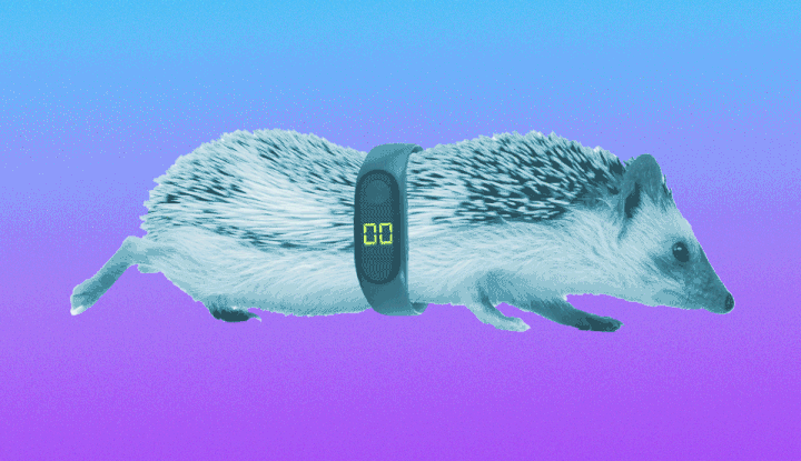 Pets, dryers and kids are popular options professionals have used to add extra steps onto trackers like Fitbits. 